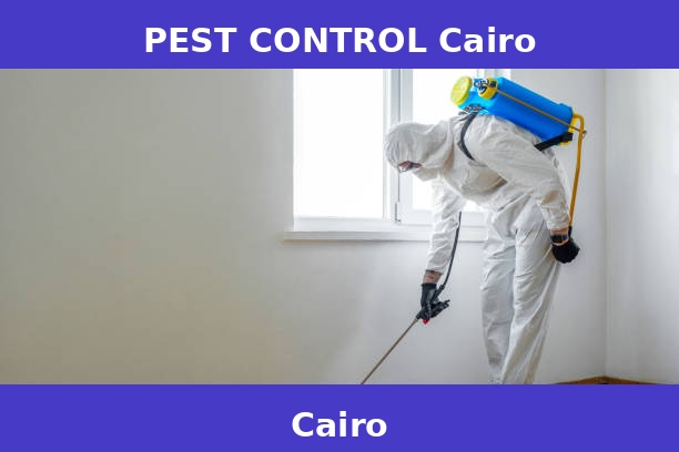 PEST CONTROL Cairo